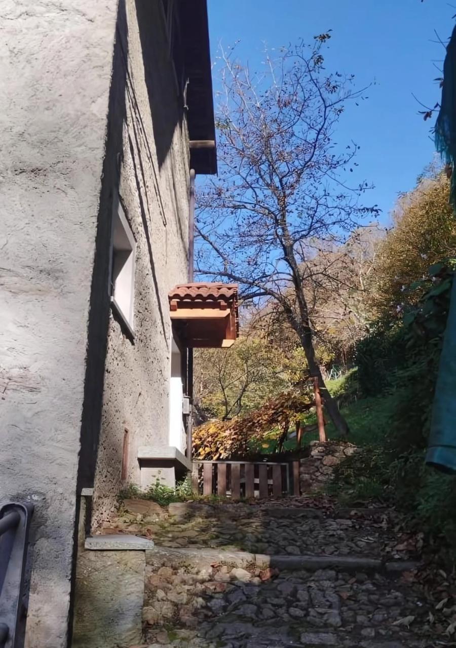 Alpaca'S House: Green, Animals & Lake View Bellano Extérieur photo